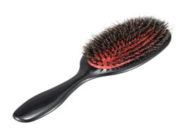 ABS Handle Bristle Nylon Hair Brush Antistatic Oval Hair Svelp Massage Pebhrush Salon Salon Coiffure PEP STOLL Tools6941745