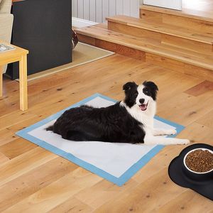 Coussinets absorbants pour chiots sans fuite de haute qualité à séchage rapide petit moyen grand chien couches coussinets pour animaux de compagnie formation vente chaude