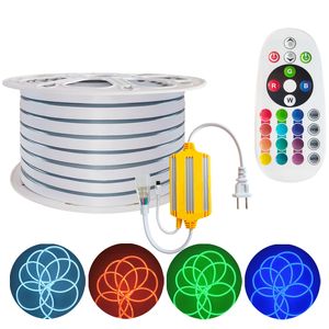 Bande lumineuse LED RGB AC110V, flexible RGB LED Lights Neon Rope IP65 Étanche Neon Flex Cuttable Silicone 16 Couleurs changeantes avec télécommande pour fête DIY crestech