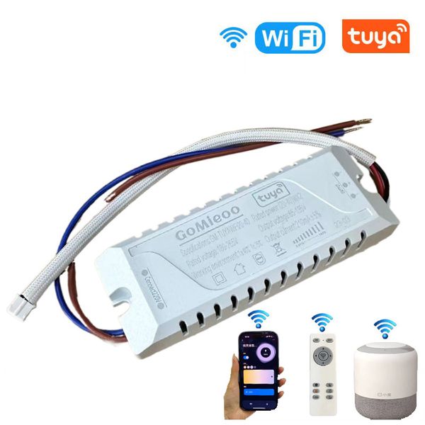 Pilote LED Intelligent AC220V 2.4G, télécommande RF TUYA APP12-24WX2 80-120WX2, transformateur d'éclairage à gradation