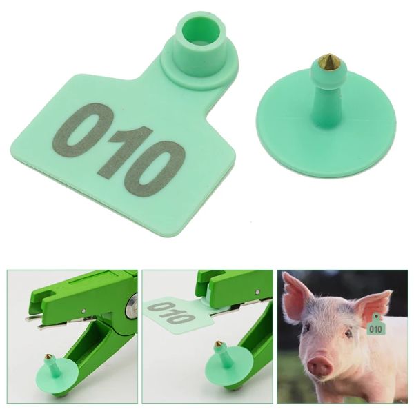 Accessoires 100 PCS Étiquette d'oreille animale n ° 1500 Boucles d'oreilles Lables Lables mouton Pig Cartes de bétail d'oreilles