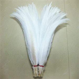Accessoires 1080 cm 432 pouces Plumes de queue de faisan en argent naturel Plumes de faisan blanches pour l'artisanat Costume de mariage Plumes de poulet Plume