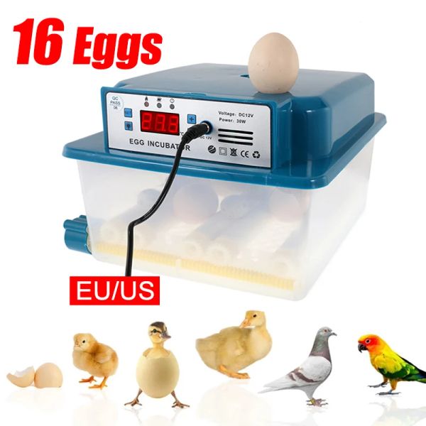 Accesorios 16 huevos Incubadora digital completamente automática Máquina de incubación Nacedora de aves de corral Turner Brooder Granja Pollo Máquina de incubación de aves