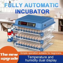 Accesorios 192/128/100/64 Incubadora de huevos Control de temperatura totalmente automática Retgenio del agua Termorregulador Máquina criadora de cría