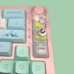 Accessoires 1 pc anime cartoon schattig totoro keycap meisje schattig mechanisch toetsenbord gewijd voor cherry mx switch persoonlijkheid handgemaakte keycaps