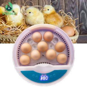 Accessoires 1 pièce incubateur d'œufs automatique numérique couveuse outil de volaille Machine d'éclosion de poulet Onebutton canard maison éleveur d'œufs chauffage