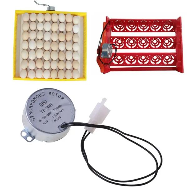 Accessoires 220V AC composants de moteur de tourneur d'oeufs de poulet ferme couveuse incubateur couveuse incubateurs automatiques oeufs à couver alimentation pour animaux de compagnie