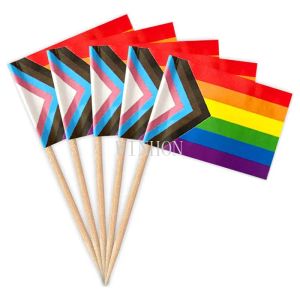 Accessoires Livraison gratuite 300 pièces progrès drapeau arc-en-ciel cure-dents Gay Pride drapeau LGBT bannière coloré arc-en-ciel drapeau bâtons de cuisson