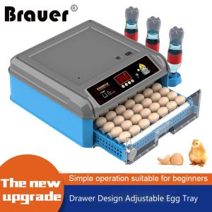 Accessoires 36 incubateur d'oeufs incubateur numérique entièrement automatique couveuse domestique ferme poulet oiseau incubateur oeufs Incubadora de huevos