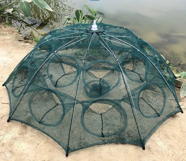 Accessoires 4/6/8/10/12/16/20 trous pliés portable Hexagon Fishing Net Breffish Fish Automatic Pièce Cage de crevettes Cages de carpe Cages Mesh