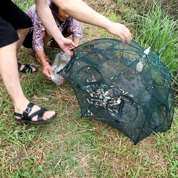 Accesorios Neta de pesca de 420 agujeros Neta portátil de pescado portátil doblada Nets de fundición Catcher Catcher Catcher Tank Trampa China Mesh barato