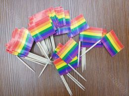 Accessoires 500 pakjes Kleine Regenboogvlag Tandenstoker Vlag Lesbische Gay Pride LGBT Vlag Banner Kleurrijke Regenboogvlag cocktailprikkers prikkers