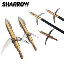 Accessoires 6/12pcs Visblad Arrowhead Arrow Tips Bowfishing Broadhead Archery Hunting Alloy Steel Bow and Arrow Archery Accessroies