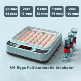 Accessoires 64 Oeufs Incubateur de poulet Incubateur Oeufs Machine d'éclosion pour l'éclosion de caille de poulet