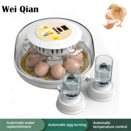 Accessoires 8 Incubateur d'éclosion d'oeuf transparent avec tournage automatique des œufs et réapprovisionnement en eau automatique pour les œufs de poulet et les œufs de caille