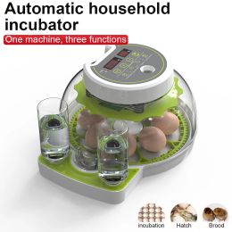 Accessoires Incubateur de 8 œufs avec retournement automatique des œufs, recharge d'eau automatique, contrôle automatique de la température, pour l'éclosion du poulet, de l'oie, du pigeon, de la caille et du canard