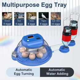 Accessoires 8 Egg Plateaux Incubateur Auto œuf automatique tournant l'eau ajoutant des incubateurs d'oeufs de volaille de ferme pour l'éclosion de la caille de pigeon d'oie de canard de poulet