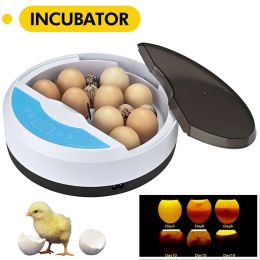 Accessoires 9 Eieren Incubator Digitale Vochtigheid Temperatuur Auto Kip Eend Gans Ei Gevogelte Vogel Geboren BrooderTool