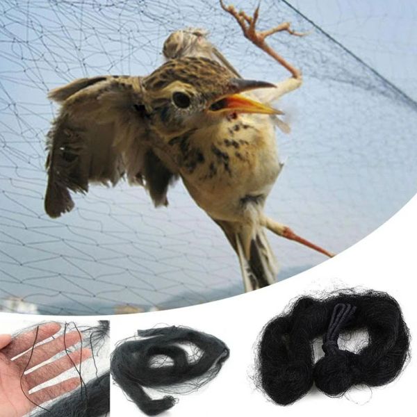 Accessoires 9 tailles anti-gardien anti-bird filet multifonction étang de pêche des pièges