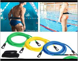 Accessoires Ceinture élastique de résistance réglable pour entraînement de natation, pour adultes et enfants, laisse en maille, corde de sécurité pour piscine, pièce 9649632