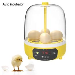 Accessoires Automatique Incubateur Brooder Volor Incubateur Intelligent Température Poulet Duck Bird Pigony Hatcheery Poultry Tool