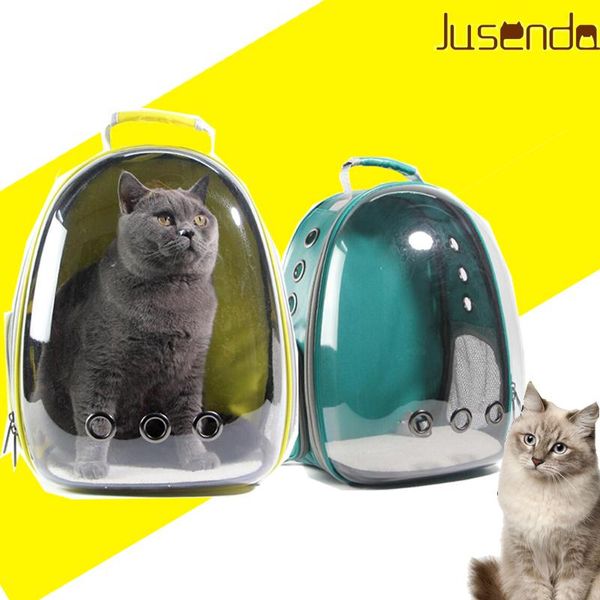 Accessoires Catcarriage Backpack Pet Cat Sac à dos pour Kitty Puppy Chihuahua Small Dog Transporteur Crate de voyage en plein air Cave pour chat