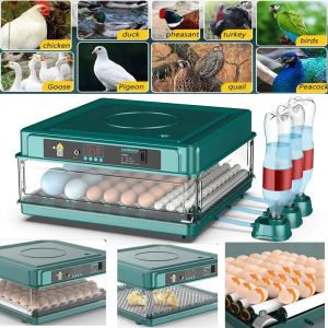 Accessoires Kippenei Automatische incubator Broedmachine Gevogelte Boerderijdieren Accessoires Gereedschap Verwarming Gans Eend Vogel Kwarteleitjes Lichtincubator