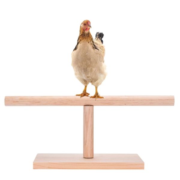 Accessoires support en bois de poulet, perchoir de Table en bois naturel avec barre d'entraînement de Base, jouet de meulage des pattes pour grands accessoires de Cage à oiseaux