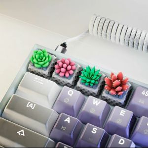 Accessoires Echome Emplice d'usine succulente d'origine Coup de touche de résine 3D mignon pour clavier mécanique des souris personnalisées faits à la main accessoires de clavier