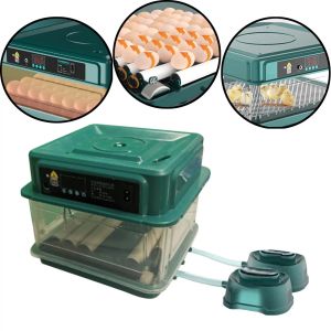 Accessoires Incubateur d'oeufs Incubateur automatique de poussin Affichage LED pour poulet d'oie 6130 oeufs Poulet Oie Oiseaux Caille Fournitures Incubateur