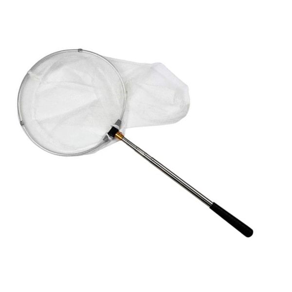 Accessoires de pêche pliable net en acier inoxydable télescopique insecte nés de papillons