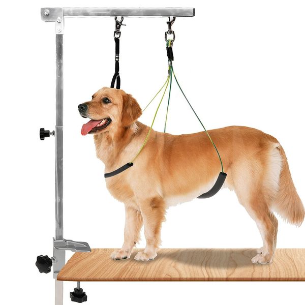 Accesorios Brazo plegable para el cuidado de mascotas con abrazadera Herramienta de cuidado para perros de altura ajustable de 39 pulgadas con soporte para ancas y lazo para mesa de 5 cm