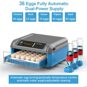 Accessoires Incubateur d'oeufs numériques entièrement automatique, 36 incubateurs d'œufs, poulet et oiseau de la ferme de couvée domestique