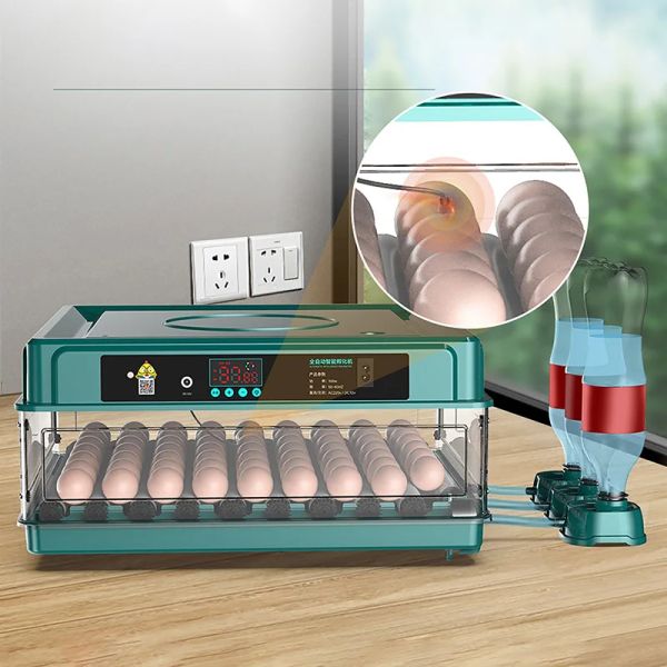 Accesorios Incubadora Inteligente Completamente Automática De Doble Potencia Mini Incubadora Doméstica De Huevos para Pollos, Patos, Gansos, Palomas, Pavos Reales Y Loros