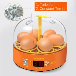 Accessoires Volledig incubator voor temp Animals 6 Egg Farm Automatic Turning Control Hatchery Machine Digital Eggs Brozerer