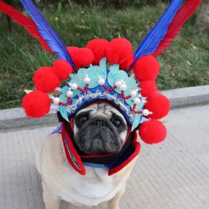 Accessoires Funny Pet Dog Costume Costume chinois tradition
