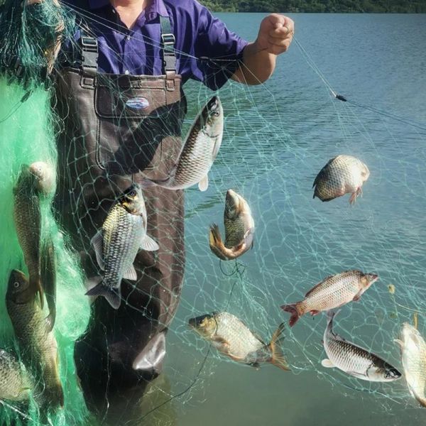 Accessoires Filet de pêche en fil vert en nylon à trois couches de haute qualité avec piège à poissons de rivière flottant de 1,5 mètres de haut et 100 mètres de long