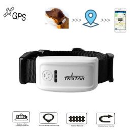 Accesorios Long Standby Time Tk909 Cat Dog Pets Real Time GPS Tracker Global GSM GPRS Localizador IOS/Andriod App Servicio de sitio web gratuito