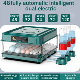 Accessoires Mini incubateur avec type de tiroir, incubateur d'eau automatique, réapprovisionnement du lit d'eau ionique, contrôle de la température, 48 œufs