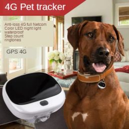 Accessoires mini -lokalisateur 4g pour animaux de compagnie rfv43 ip67 WaterProof/comptage des pas/moniteur vocal gps tracker logiciel gratuit