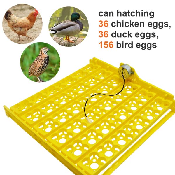 Accesorios Nueva incubadora de 36 huevos Bandeja giratoria Equipo de incubación de aves de corral Pollos Patos y otras incubadoras de aves de corral que giran los huevos automáticamente
