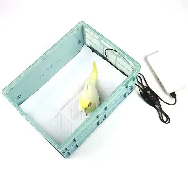 Accesorios Caja de cría de mascotas con almohadilla térmica, caja viva para pájaros bebés, recién nacidos, pollitos, nidos de loros, pollos, kit de dispositivos de crianza