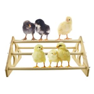 Accessoires Triangle de poulet pour animaux de compagnie, Station en bois, cadre de support de poulet, barre de support, jouets pour perroquets, grande poule, cadre de support en bois