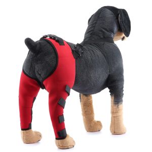 Accessoires pour animaux de compagnie Pousquettes de genou de chien Back jambe de dos pour les chiens blessés soutient l'acticulateur