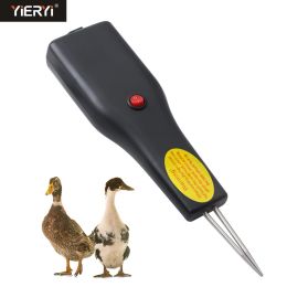 Accessoires Plugin / Charges volaille électrique Coiffage Planage Dispositif de révocation de plumes Poulet Duck Orose Épilatateur automatique dehairing