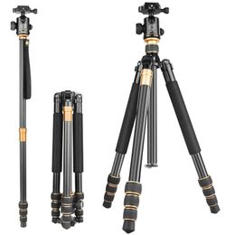 Accessoires Q999C Koolstofvezel Lichtgewicht Uitbreidbaar Compact Digitale DSLR Video Camera Tripod