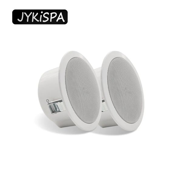 Accessoires En haut-parleur amplifié 6,5 pouces de plafond coxial haut-parleur surround son mini subwoofer Musique Speakerr Speakerr Subwoofer Horn pour la chambre