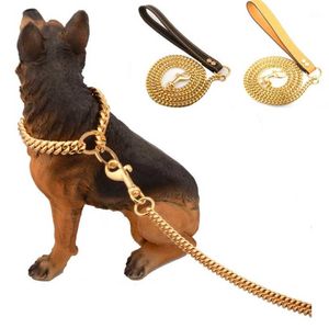 Accessoires en acier inoxydable Pet Gold Chain Dog LEASHES PORTIE DE CUIR PORTIE PORTABLE BRODES DE LAUSION PUPPY CAT TRACINE COLL COLLAI