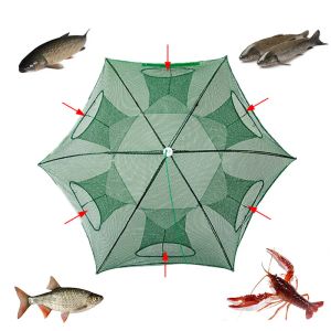 Accessoires Umbrella Net Polding Fishnet Panier à homard Cage de pêche pour poisson capteur de homard Hom