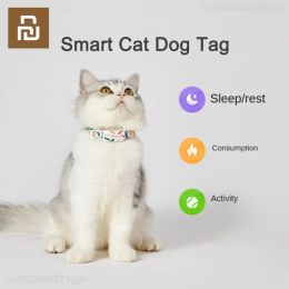 Accessoires youpin petkit smart personnalisé colliers de chat de chat